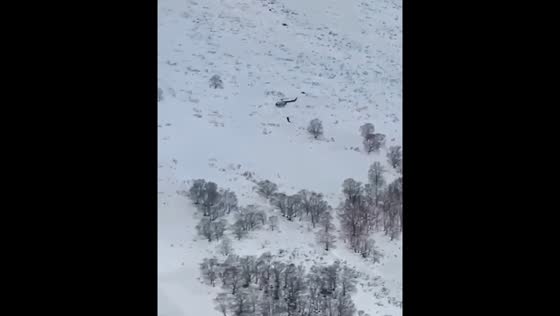 Video reveals shocking aerial bear hunt in Kamchatka, Russia