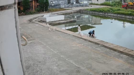 Child falls into pond while walking beside it in Hunan, China