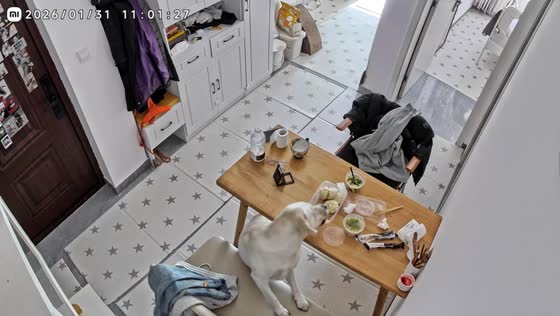 Dog caught stealing steamed buns in Beijing, China