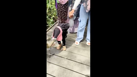 Monkey's mischief: 3-year-old Yumna's hat and hijab adventure