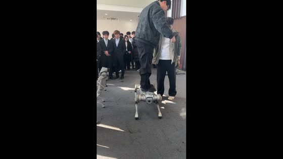 Robot dog load-bearing test in Zhejiang, China