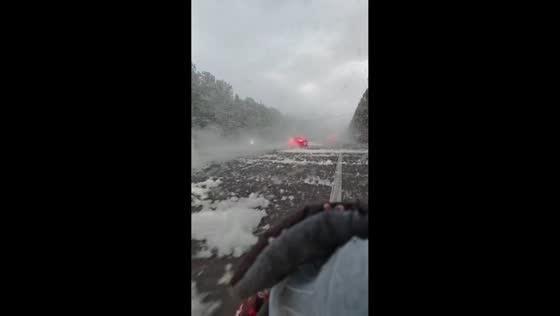 Cottonwood fluff blankets road in Hebei, China