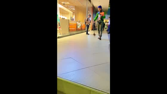 Pet duck admirably follows its owner through Bonifacio Global City, Philippines