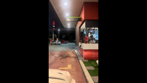Reptile escape caught on camera in Shah Alam, Malaysia