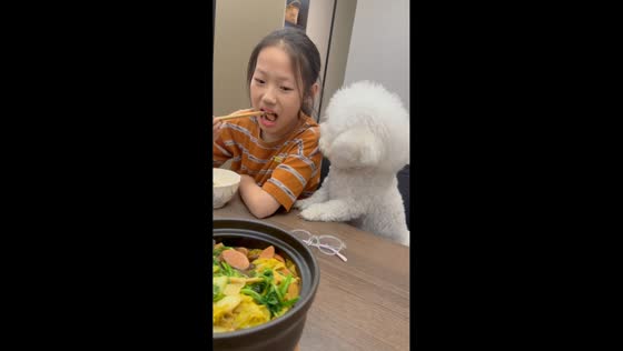 Bichon Frise hilariously steals food from girl’s chopsticks in Jiangsu, China