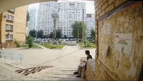 Nine-year-old boy hospitalized after tree collapse at Samara playground