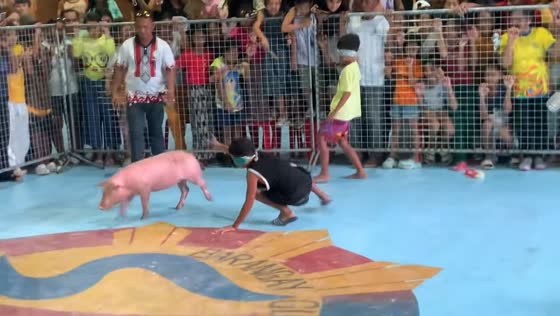 Blindfolded pig-catching game entertains crowd in Barotac Nuevo, Iloilo, Philippines