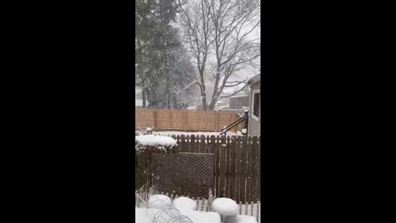 Heavy snowfall while decorating in Syracuse, USA