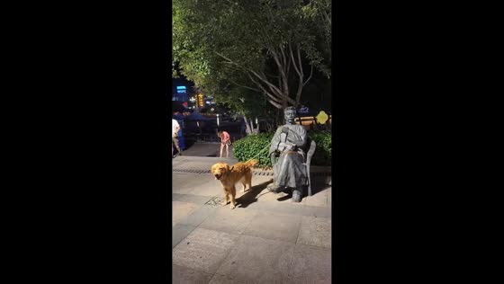 Dog appears leashed by statue in park in Zhejiang, China