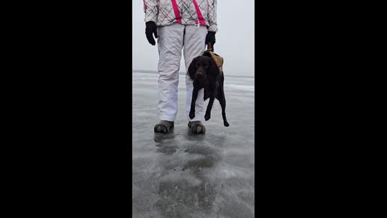 Dog tries to snatch catfish while icefishing in Illinois, USA