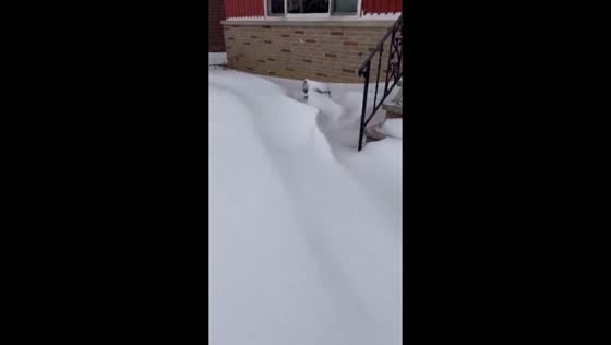 Yardstick shows deep lake-effect snowfall in Brooklyn, Ohio, USA