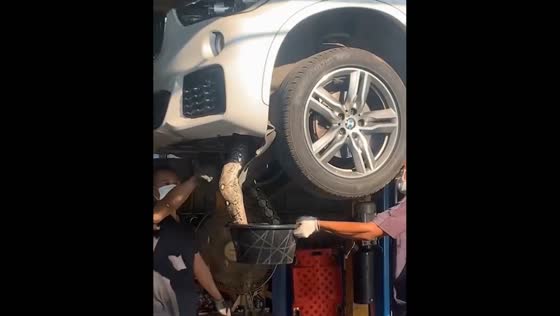 Massive snake extracted from car underside in Thailand