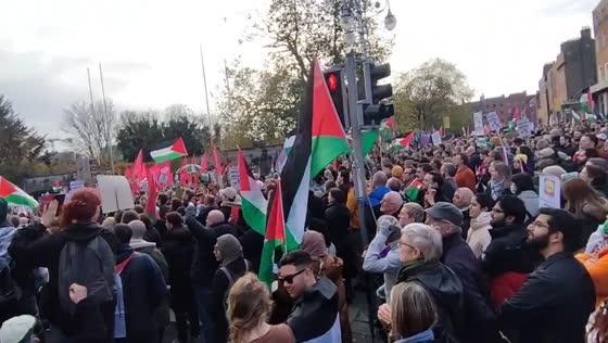 Pro-peace Dublin protest: demonstrators rally in support of Palestine amid ongoing Gaza conflict
