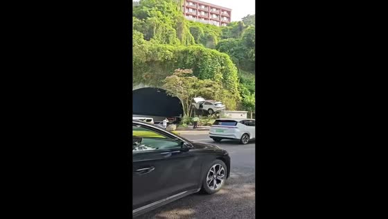 SUV left suspended in trees after crash in Chongqing, China