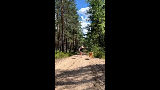 Dog returns to help owner after she stumbles on off-road path in Vyborg, Russia
