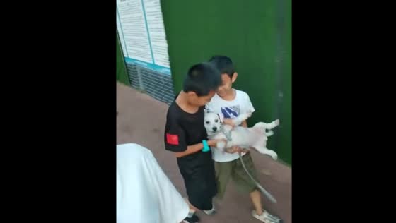 Kids trip and fall while carrying dog in Yunnan, China