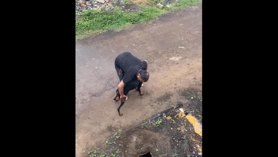 Shared healing: a tale of compassion between man and dog in Maharashtra