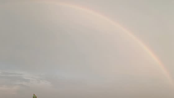 Colorful rainbow stretches across evening sky after rain in Lahore, Pakistan
