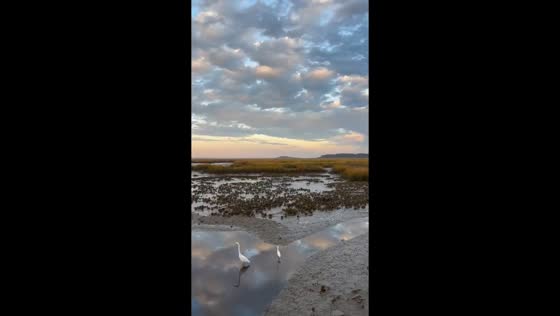 Bright evening sky over Huntington Beach State Park in Murrells Inlet, South Carolina, USA