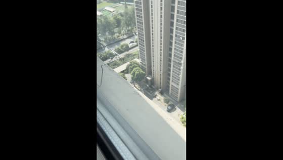 Hawk suddenly snatches insect near window of high-rise building in Shanghai, China