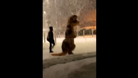 A man dressed as a dinosaur walks down the street during a snowfall in Dublin!