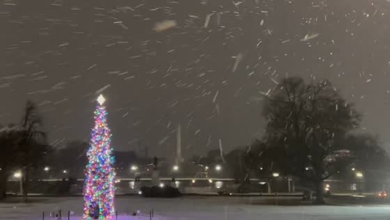 Gentle snowfall covers the National Mall in Washington, D.C., USA