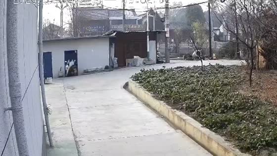 Motorcyclist crashes into building door in Shaanxi province, China