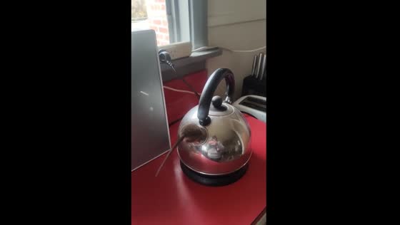 Mouse escapes from kettle spout while cat eats obliviously
