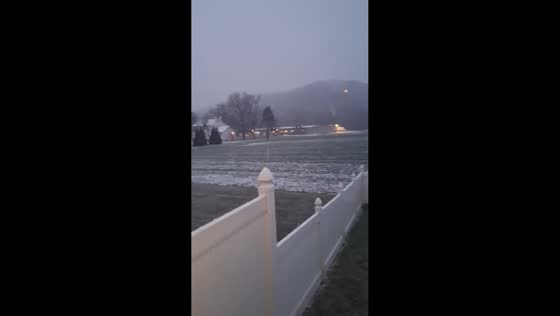 Excited dog retreats quickly from heavy morning snowfall in Dayton, USA