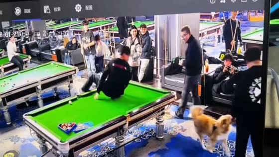 Man chased by dog inside billiard hall in Hebei, China
