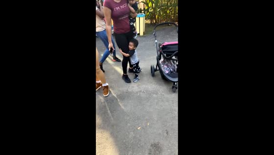 Kids get scared by donkey at zoo in Broussard, Louisiana, USA