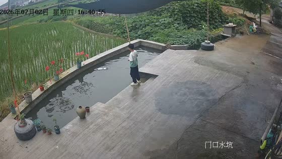 Boy falls into pond while playing with remote-controlled boat in Zhejiang, China