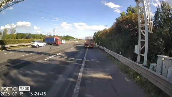 Cow manure spill causes multi-vehicle crash on expressway in Zhejiang, China