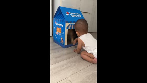 Baby and cat playfully “compete” through cardboard playhouse in Shandong, China