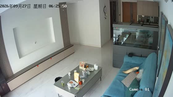 Golden arowana escapes aquarium through small opening and lands on sofa in Henan, China
