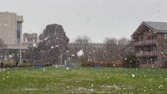 Heavy snowfall transforms Whiteknights Campus in Reading, UK