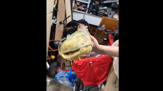 Old fish found hardened in refrigerator in Cincinnati