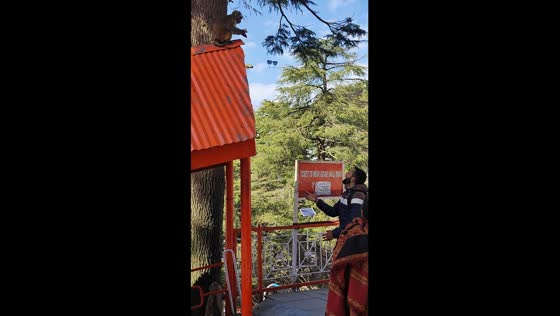 Monkey returns sunglasses to tourist after food trade