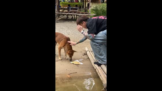Man nearly bitten while feeding dog in Huay Tung Tao, Thailand