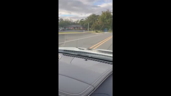 Snake hitches a ride on moving car in Tulsa, Oklahoma, USA