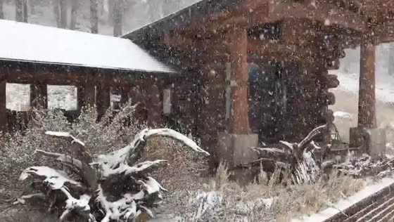 Heavy snowfall in Flagstaff, Arizona