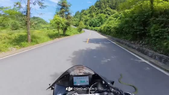 Motorcyclist startled by snake on rural road in Guizhou, China