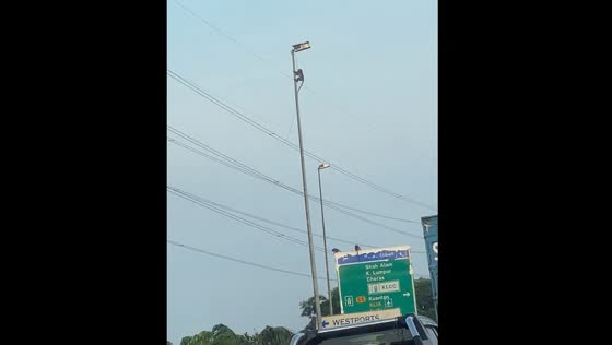 Primate shakes street light in Klang, Malaysia