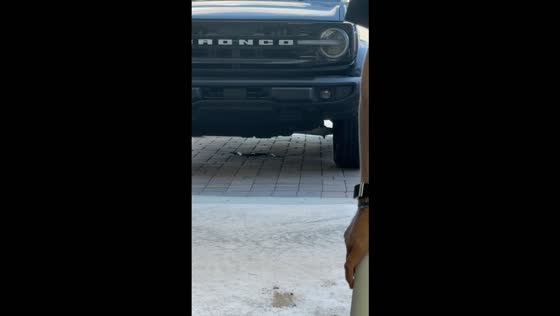 Man tries to remove snake found among Halloween decorations in St. Cloud, Florida, USA