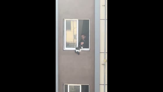 Man rescues cat from high-rise window in Shanghai, China