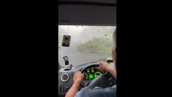 Trees fall on road during storm in Luninets District, Belarus
