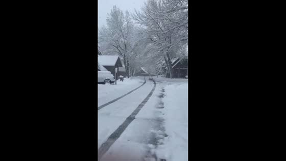 Heavy snowfall blankets Estes Park, Colorado, USA