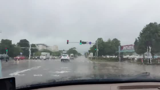 Car wiper stolen during rainy day in Zhejiang, China