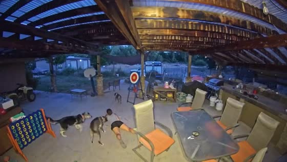 Dogs accidentally knock over woman while playing in New Orleans, Louisiana