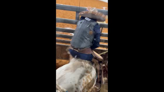 Bull rider falls after being thrown from bucking bull in Fort Worth, USA